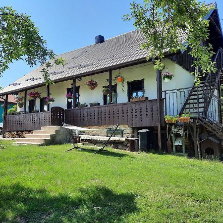 Вилла Casa Bunicilor Ciprian Porumbescu Экстерьер фото