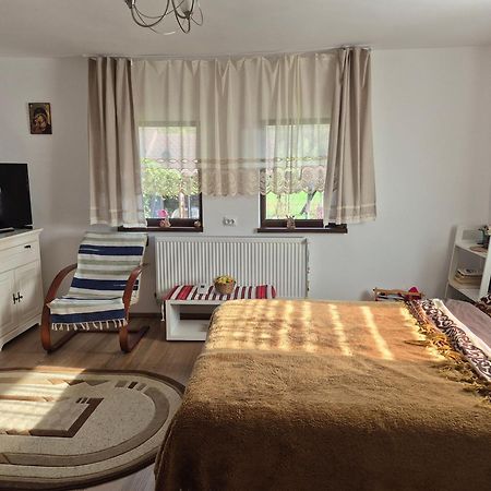 Вилла Casa Bunicilor Ciprian Porumbescu Экстерьер фото