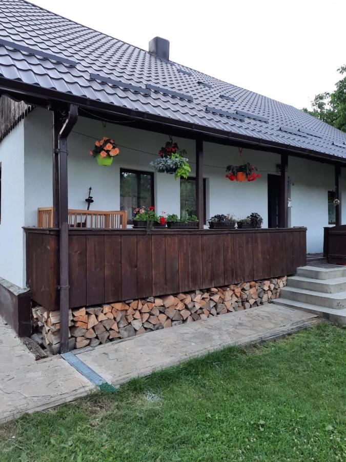 Вилла Casa Bunicilor Ciprian Porumbescu Экстерьер фото