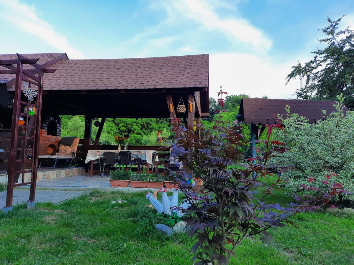 Вилла Casa Bunicilor Ciprian Porumbescu Экстерьер фото
