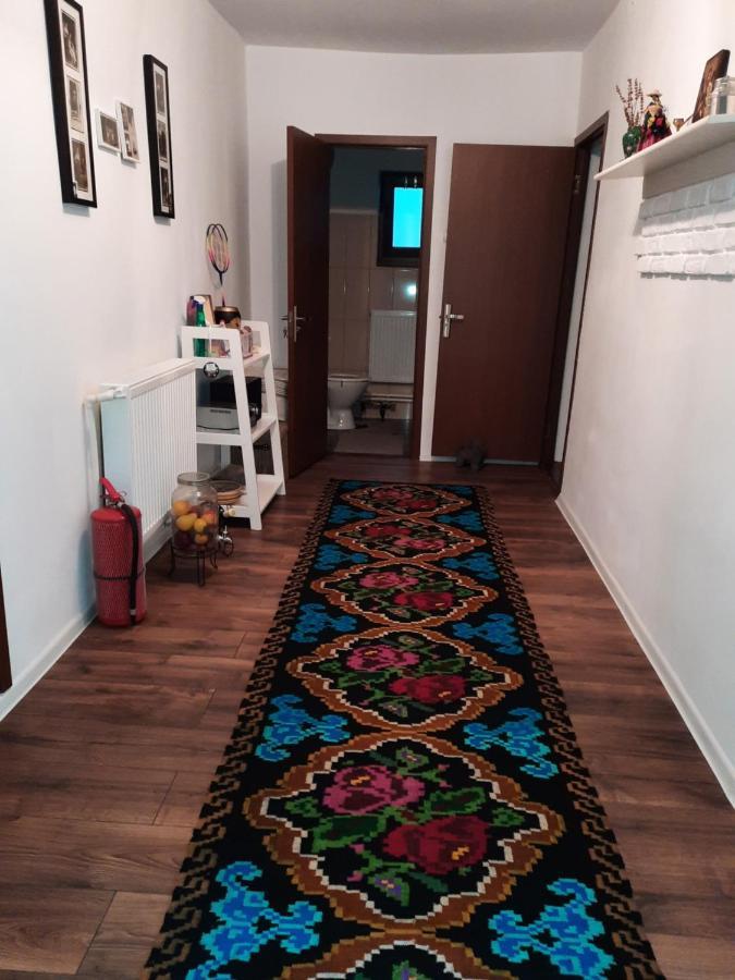 Вилла Casa Bunicilor Ciprian Porumbescu Экстерьер фото