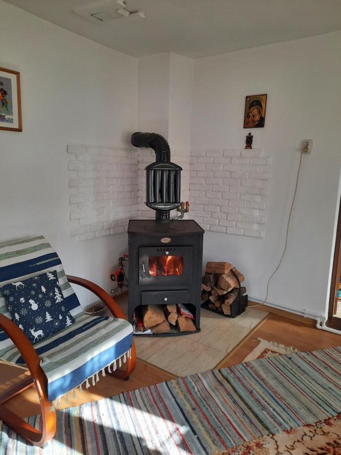 Вилла Casa Bunicilor Ciprian Porumbescu Экстерьер фото
