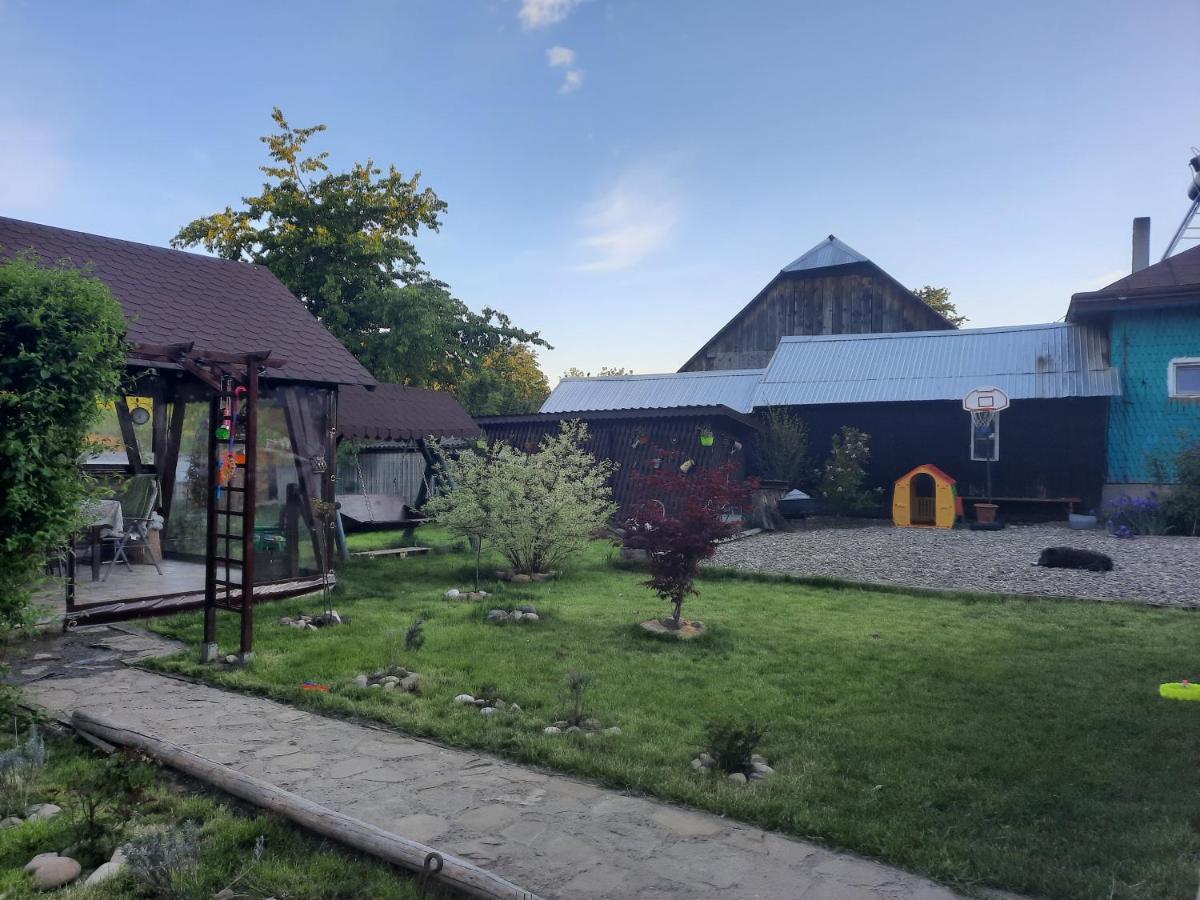 Вилла Casa Bunicilor Ciprian Porumbescu Экстерьер фото