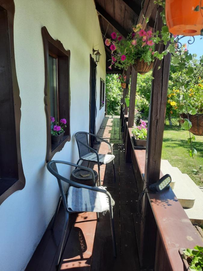 Вилла Casa Bunicilor Ciprian Porumbescu Экстерьер фото