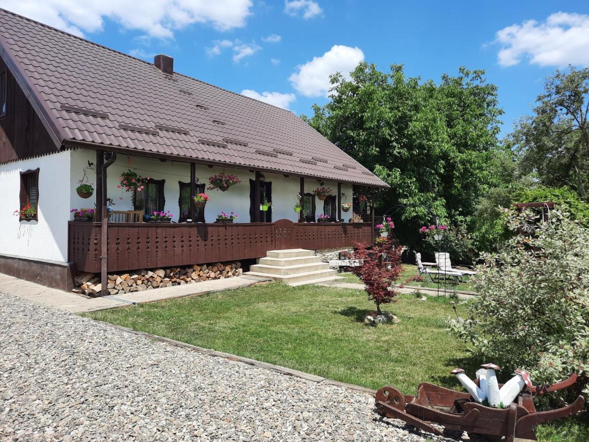 Вилла Casa Bunicilor Ciprian Porumbescu Экстерьер фото