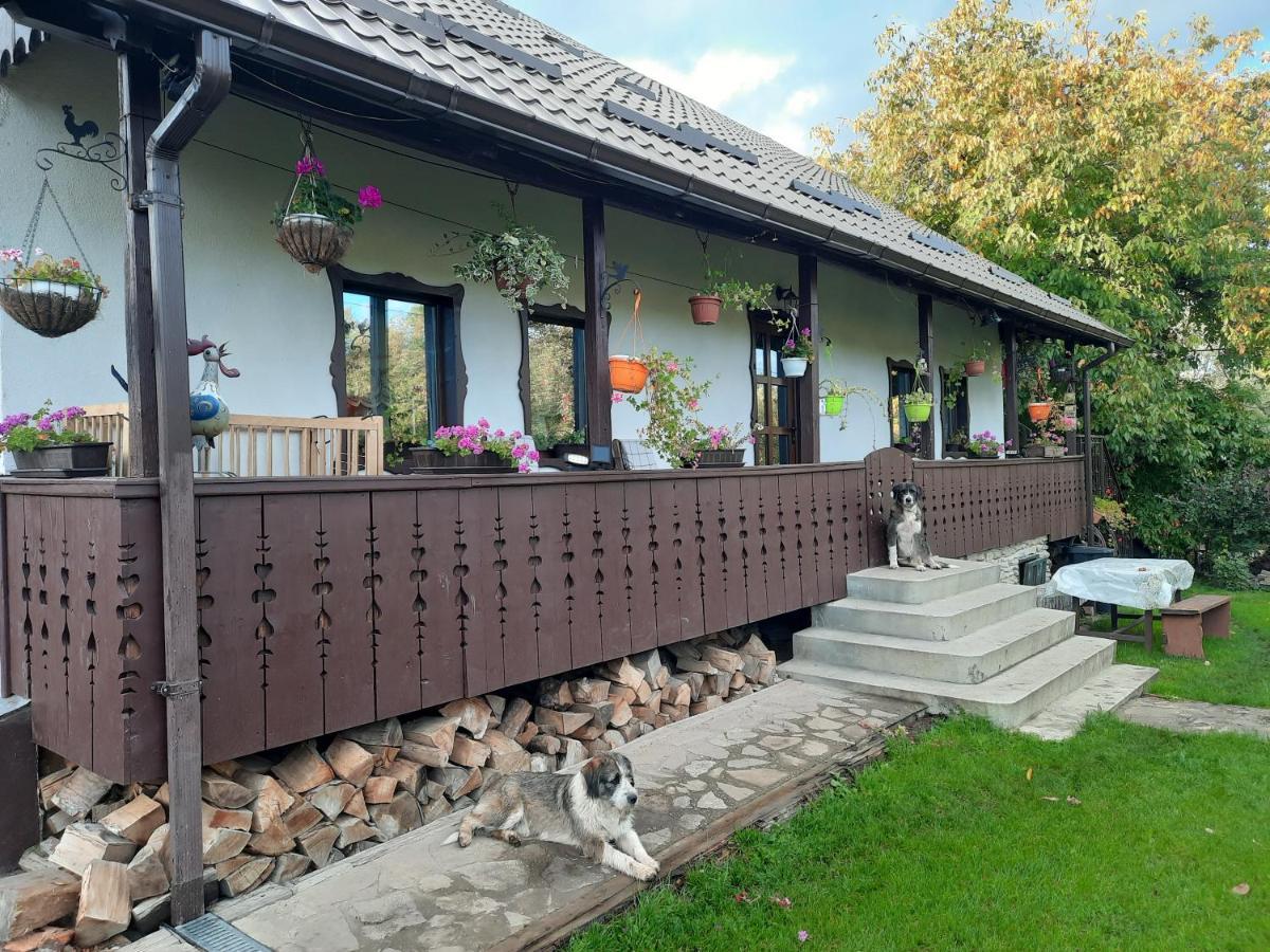 Вилла Casa Bunicilor Ciprian Porumbescu Экстерьер фото