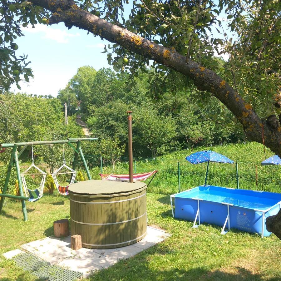 Вилла Casa Bunicilor Ciprian Porumbescu Экстерьер фото