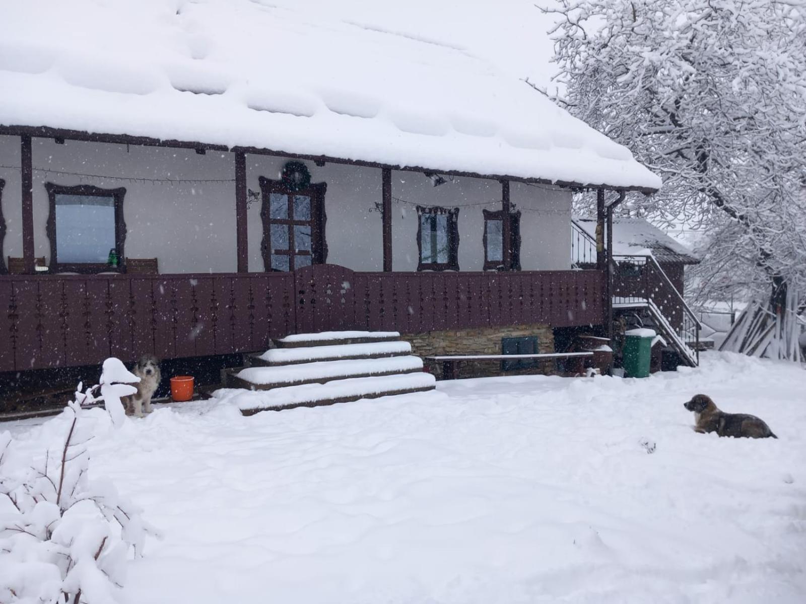 Вилла Casa Bunicilor Ciprian Porumbescu Экстерьер фото