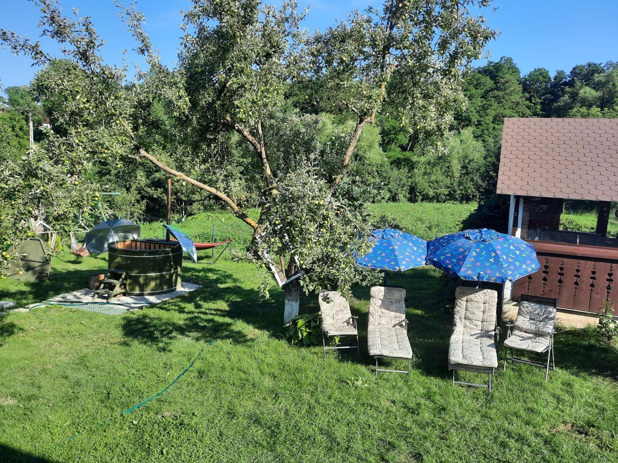 Вилла Casa Bunicilor Ciprian Porumbescu Экстерьер фото